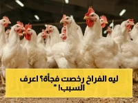 عاجل: انخفاض صادم في أسعار الدواجن… الفراخ البيضاء تنخفض إلى 83 جنيهًا والساسو إلى 95 جنيهًا! - بوابة الزهراء تكشف أسباب الهبوط المفاجئ