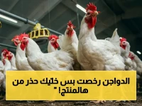 عاجل: انخفاض أسعار الدواجن 10% قبل العيد.. لكن هذا المنتج المجمد يهدد صحتك!
