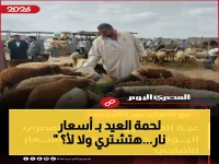 عاجل: شعبة القصابين تكشف أسعار الأضحى 2026.. العجل يصل لـ 120 ألف والخروف من 12.5 ألف جنيه - هل ستشتري؟
