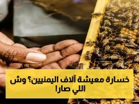 خبراء الأمم المتحدة يكشفون: الانهيار الكارثي للعسل اليمني… 100 ألف عائلة ستخسر مصدر دخلها الوحيد!