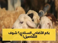 حصري لـ عيد الأضحى: أسعار الأضاحي في وزارة الزراعة تبدأ من 160 جنيهًا للكيلو.. تعرف على طريقة الحجز وأماكن الشوادر في المحافظات!