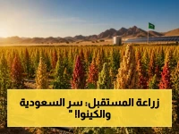 حصري: السعودية تخترع زراعة المستقبل… شاهد كيف تحولت الكينوا إلى محصول استراتيجي يغير قواعد الأمن الغذائي!