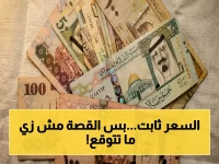 استقرار صادم في البنوك: الريال السعودي يحافظ على سعر ثابت أمام الجنيه المصري وسط موسم الحج… تعرف على السعر الموحد اليوم!