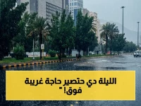 عاجل: أمطار رعدية صادمة تضرب 4 مناطق رئيسية - خطر غبار ورياح نشطة يهدد شمال المملكة أيضاً!