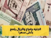 خبراء يحذرون: الجنيه في خطر بعد خروج المستثمرين الأجانب… الريال السعودي يرتفع في 5 بنوك - تفاصيل الارتفاع الصادم!