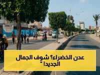 حملة تشجير هائلة في عدن.. تغطي الشوارع الرئيسية والكورنيش لتحويل البريقة إلى منطقة سياحية خضراء!