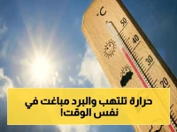 انفجار حرارة الجنوب! الوطني للأرصاد يعلن: الأحساء وشرورة تسجل 43°C - والسودة تتفرد بـ23°C فقط في نفس اليوم