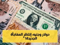 شاهد التغيير.. سعر الدولار أمام الجنيه اليوم يكشف مفاجأة! استقرار أم هدوْ قبل العاصفة؟