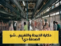عاجل: محافظ القاهرة يحظر ذبح الأضاحي في الشوارع… والغرامة قد تصل إلى 10,000 جنيه!