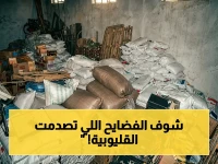 القليوبية في حالة حرب ضد الغذاء الفاسد: 103 منشأة تحت التفتيش… كميات مهولة من السناكس والآيس كريم تُعدم أمام الجمهور!