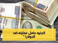 عاجل: الجنيه المصري يقاوم الدولار ويشهد تراجعاً في جميع البنوك… إليكم الأسعار الصادمة لختام تعاملات اليوم!