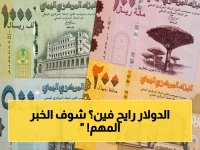عاجل: مصادر مصرفية تكشف أسعار الصرف في عدن وصنعاء… هل تخطط لشراء عملات؟
