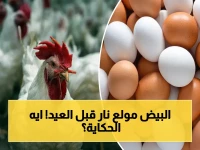 شاهد: انفجار في أسعار البيض قبل العيد… كرتونة البلدي تخترق 150 جنيهاً!