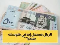 عاجل: قرار المركزي اليوم.. هل تتعرض أموالكم في مصر للانخفاض؟ أسعار الريال السعودي تتراوح بين 14.15 و14.27 جنيه