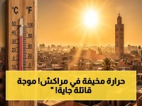 عاجل: الأرصاد تصدر إنذاراً برتقالياً لـ 42° في مراكش ومغرب حار! موجات حرارة "قاتلة" تضرب 30 مدينة!