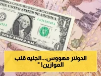 عاجل: الدولار يسقط أمام الجنيه في صدمة الصباح… البنوك تكشف الأرقام المذهلة! (52.24 جنيه للشراء)