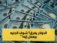 عاجل: الدولار ينهار أمام الجنيه.. تراجع صادم يصل إلى 67 قرشاً في 5 بنوك خلال ساعات!
