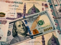 عاجل: البنك المركزي يعلن سعر الدولار الحقيقي… رقم مذهل يفوق 52 جنيه يحير الملايين!