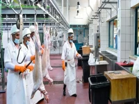 عاجل: شروط جديدة للأضحية في الإمارات - الاشتراك في البقر جائز للـ7 أشخاص لكن الشاة تُصبح خطأ شرعي!