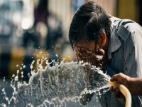 عاجل: الأرصاد تُعلن كارثة بيئية - الشبورة تلاحقكم مع حرارة جارّة تصل لـ38°!