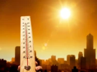 عاجل أسيوط: استعدادات قصوى لمواجهة الرياح المثيرة للأتربة… هل سيتم إغلاق الطرق؟