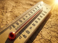 عاجل: موجة حرارة 'قاتلة' تصل 48°C في الشرقية… رياح تصل 49 كم/هـ تثير أتربة وتخفي الطرق السريعة!