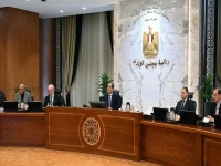 حكومي رسمي: قرار صادم يغير خريطة الطاقة والتنمية في مصر - 73085 فدان لتحيا مصر ومشاريع ثورية في سيناء!
