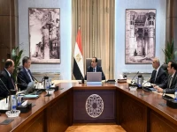 عاجل: قرار صادم للسيسي بشأن أسعار اللحوم… مشروعات عملاقة ستقلب الموازين قريباً!
