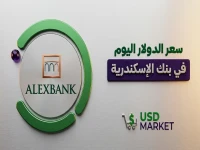 عاجل: سعر الصدمة الذي أخفاه البنك المركزي - الدولار يثبت عند رقم خطير يقلق الملايين!