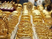 عاجل: صدمة في أسعار الذهب السعودية… لماذا استقر عيار 24 عند 503 ريال بالضبط بعد أكبر انهيار؟