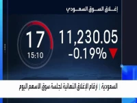 عاجل: بورصة السعودية ترزح تحت ضغط حاد... هل قرار أوبك+ بزيادة إنتاج النفط وراء هذا الانخفاض؟